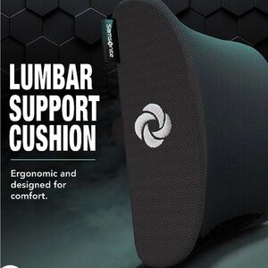 Samsonite Lumbar Support Cushion for Car, Office or Home. Great for Travel.